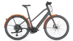 257 AMP AL SPEED ONE ST USA